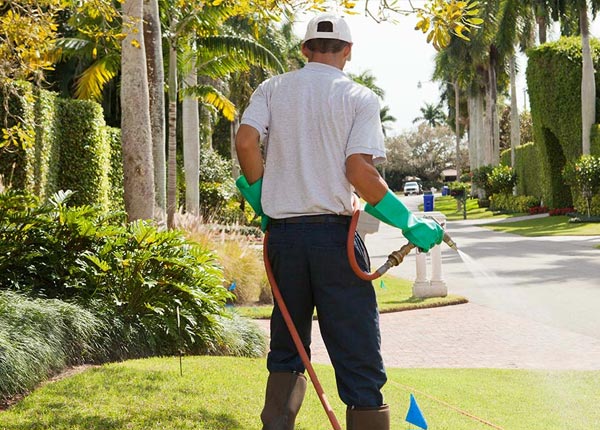 About Spartanburg SC Pest Control Pros